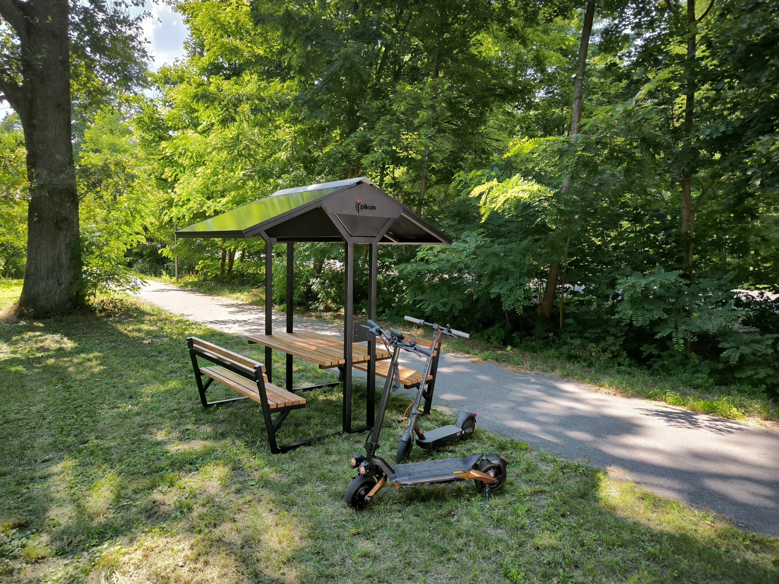 Parki i skraje lasów